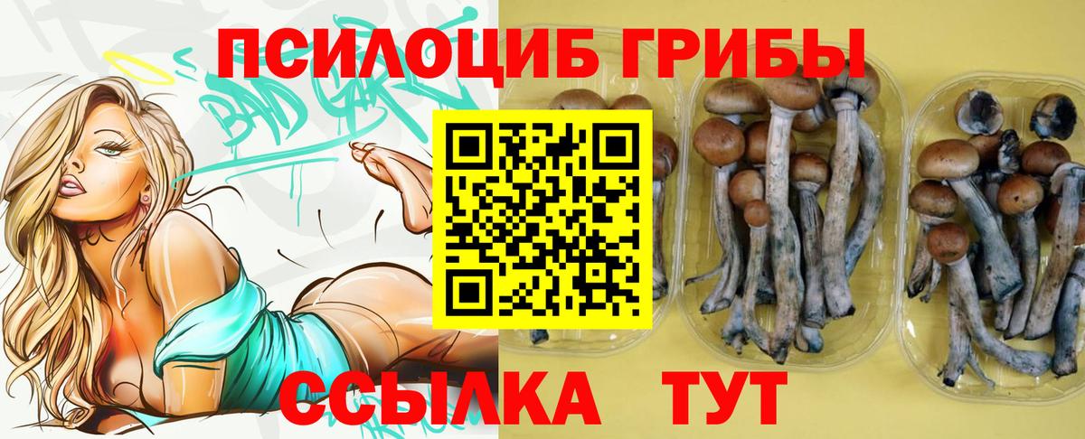 Галлюциногенные грибы мицелий Кулебаки