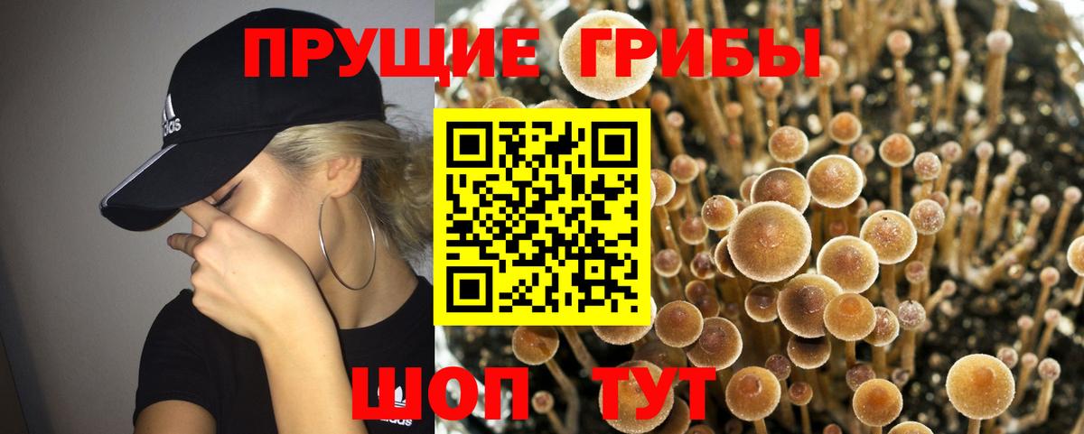 Псилоцибиновые грибы прущие грибы  Галлюциногенные грибы Magic Shrooms  Кулебаки  Вход с VPN 